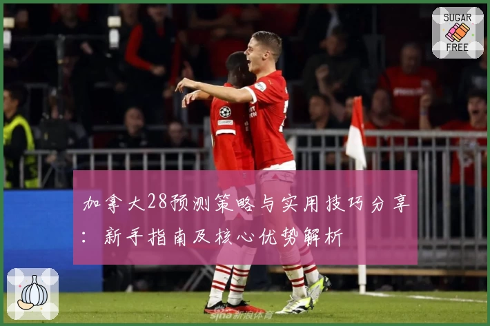加拿大28预测策略与实用技巧分享：新手指南及核心优势解析