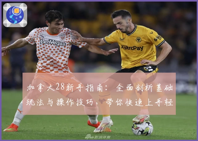 加拿大28新手指南:全面剖析基础玩法与操作技巧,带你快速上手轻松体验游戏乐趣