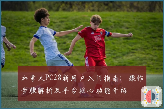 加拿大PC28新用户入门指南：操作步骤解析及平台核心功能介绍