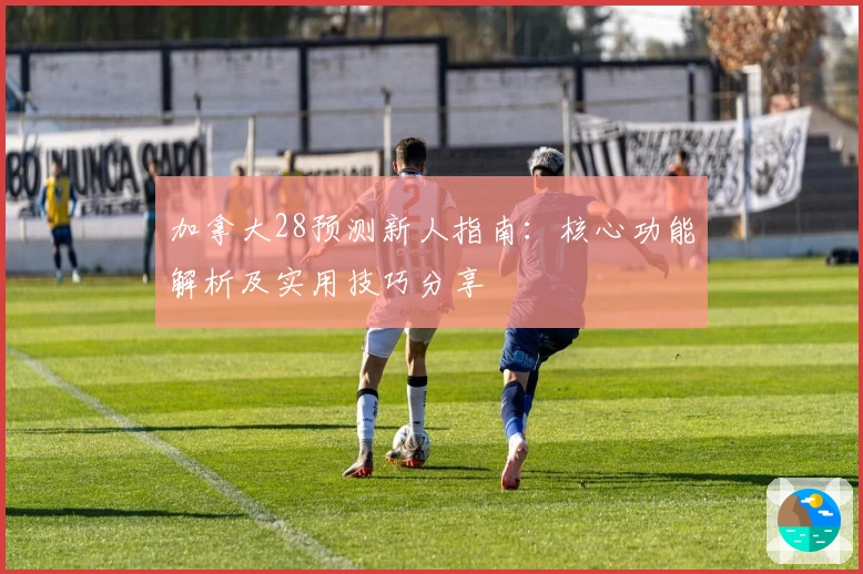加拿大28预测新人指南：核心功能解析及实用技巧分享