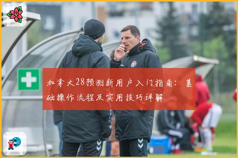 加拿大28预测新用户入门指南：基础操作流程及实用技巧详解