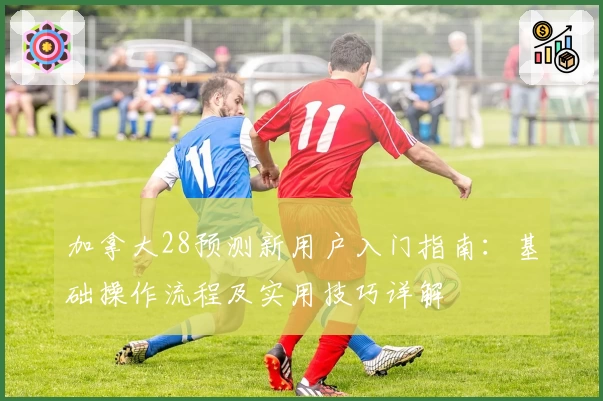 加拿大28预测新用户入门指南：基础操作流程及实用技巧详解