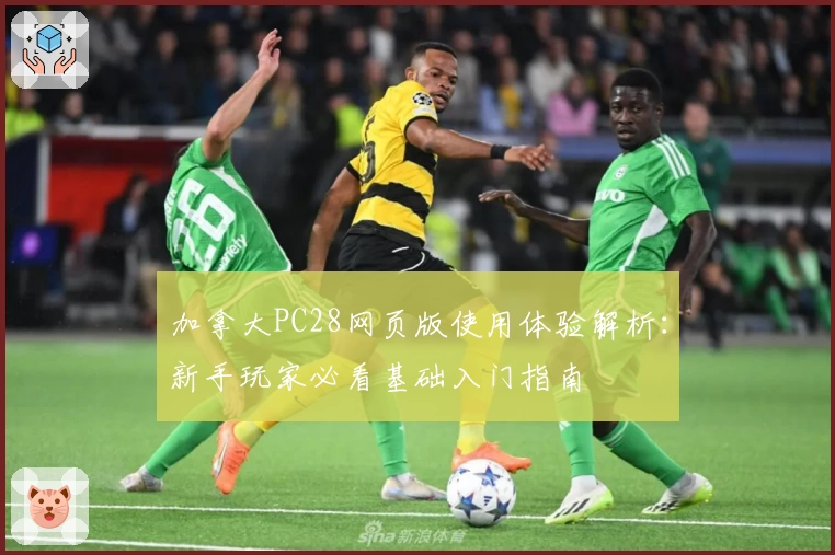 加拿大PC28网页版使用体验解析:新手玩家必看基础入门指南