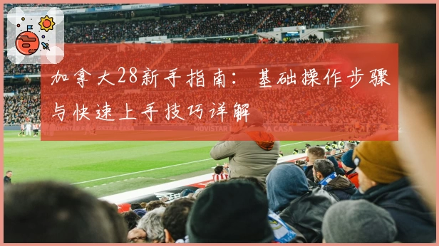 加拿大28新手指南：基础操作步骤与快速上手技巧详解