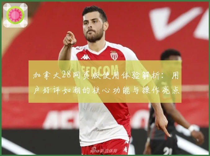 加拿大28网页版使用体验解析：用户好评如潮的核心功能与操作亮点