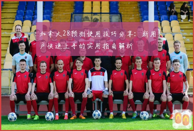 加拿大28预测使用技巧分享：新用户快速上手的实用指南解析